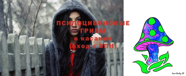 твердый Алексин