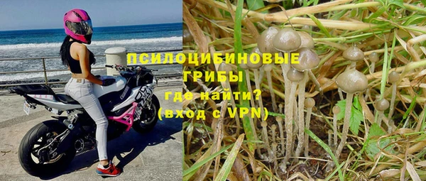 дживик Пролетарск