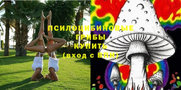 сатива Абинск