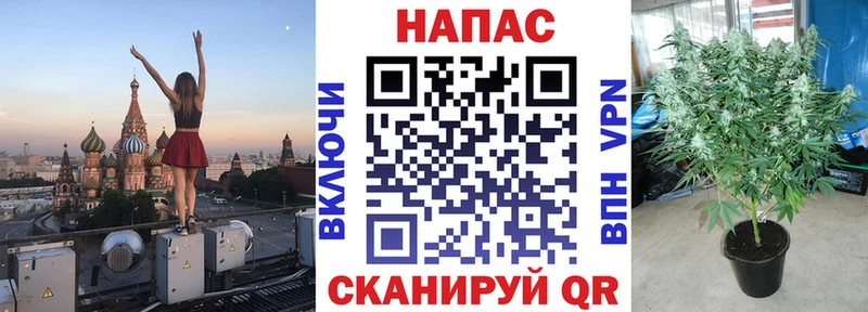 даркнет сайт Нолинск мориарти наркотические препараты Шишки марихуана планчик